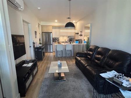 1 Bed 1 bath *** 1 mois gratuit*** Animaux acceptés