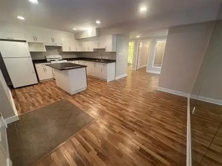 Brand new basement suite in Sullivan Heights | 14746 59 Avenue, Surrey