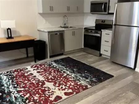 New Furnished One Bedroom Legal Basement Suite in Glacier Ridge | Calgary