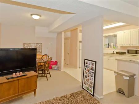 Killarney, large, bright, 2 BR & den, "raised" lower unit, near bus/LRT | Calgary