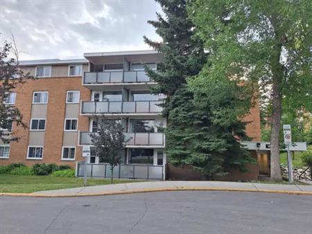 Charming Condo in Prime Location - Walk to Kensington, Downtown (Utilities Incl) | 328 - 1616 8 Ave NW, Calgary