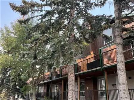 Cozy downtown condo with wood burning fireplace | Calgary