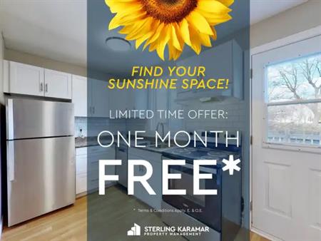 Bedford Gardens - 440 Cumberland Street & 245 Yates Street | 440 Cumberland Street, Cornwall