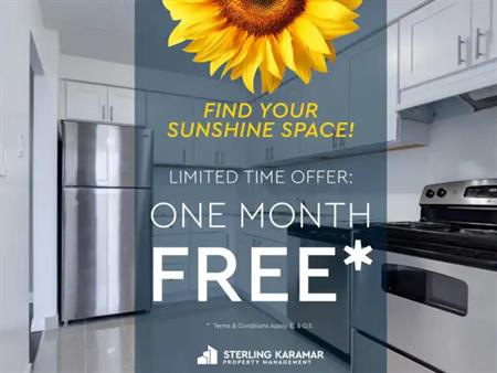 57 North Park Street | 57 North Park Street, Brantford
