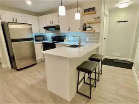 Newly Renovated LEGAL Furnished Suite in Riverbend with Private Patio & Parking | Calgary