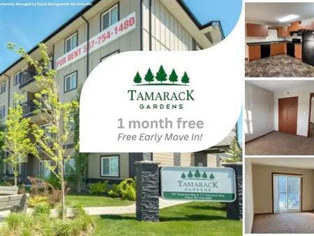 Tamarack Gardens | 707 Tamarack Way NW, Edmonton