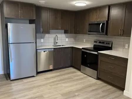 Brand new 2 bed walk out suite! | 233 Edith Road Northwest, Calgary