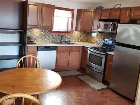 1 Bed 1 Bath BRIGHT Unit (partial Furnish) - w/ private entrance Utils Flat $150 | Edmonton