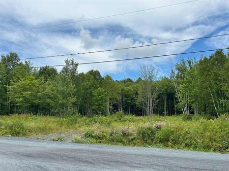 Terrain de 266 000 pi2 à vendre secteur Cumberland Saint-Benjamin