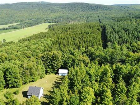 St-Sylvestre (Chaudière-Appalaches) : Terre à bois de 97,24 acres