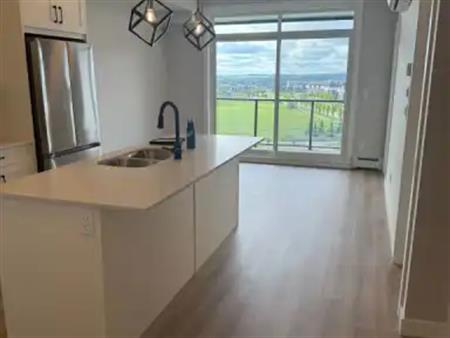 Brand New Luxury 2 Bed, 2 Bath Condo for Rent in Seton | Calgary