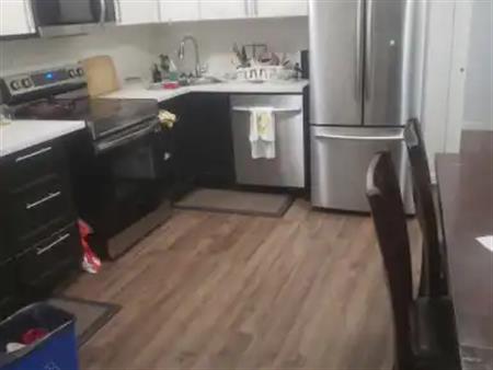 Recently built basement unit with own backyard, walking distance to U of A | Edmonton