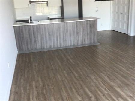 3 1/2 grand frais peint 6ème étage inclus chauffage eau chaude air conditionné stationnement intérieur disponible maintenant