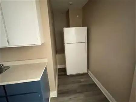459 WATKINS STREET Unit# 1 | 459 WATKINS STREET Unit# 1, Windsor