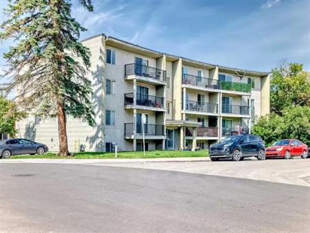 2 Bedroom Inner City Condo, Walking Distance from 17th Ave | 11 - 1516 24 Ave SW, Calgary