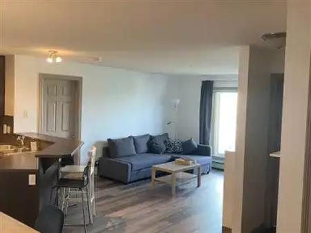 2 Bedroom, 2 Bath Apartment in Meadows | 215 - 2208 44 Ave NW, Edmonton