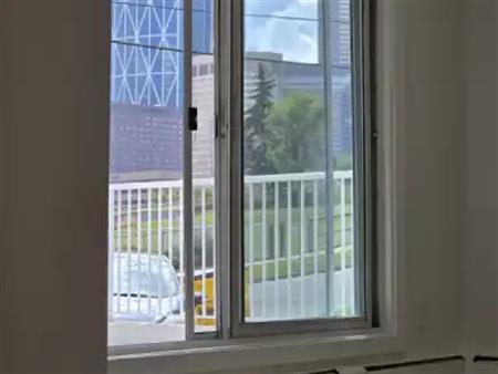 2 bedrooms 1 bathroom corner Unit, Renovated Condo in the Heart of Calgary | 431 1 Avenue Northeast, Calgary