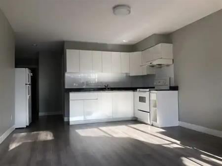 Burnaby 2 Bed 1 Bath Basement Suite for Rent, near SFU | 7210 Frances Street, Burnaby