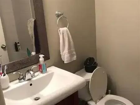 1 bedroom basement apartment. | 40 Karen Crt., Orangeville