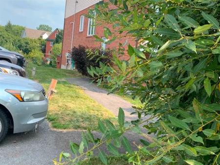 Appart. 5/12 situe au Plateau/Hull, $1950 par mois disponible pour le 1er Octobre