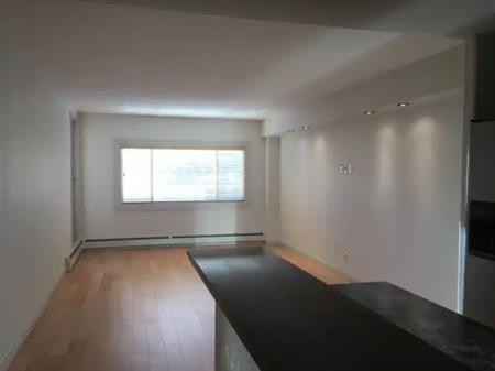 Convienent, spacious condo at Sunnyside community | Calgary