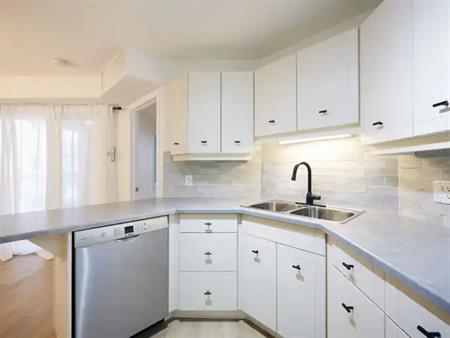 Welcome Home!  2 Bed 2 Bath Modern, Fully Renovated Oliver Condo | 207 - 10308 114 St NW, Edmonton