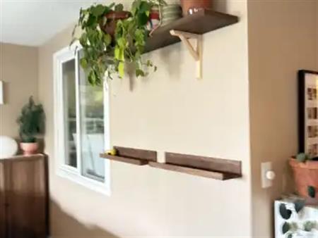 Newly renovated 1-bedroom basement with walk-out separate entrance | 29 Panamount Crescent Northwest, Calgary