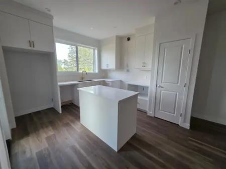 Brand New Duplex with 3 BHK and bonus room available for rent | Edmonton
