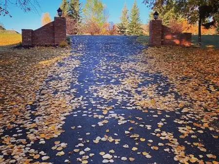 ROOM AVAILABLE – commencing AUGUST 15, 2025 - Share common spaces ESTATE ACREAGE | 215 Blueridge Rise, Calgary