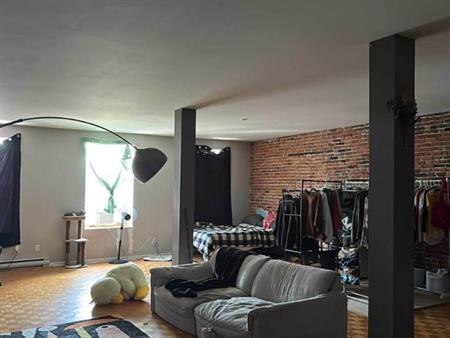 Grand Studio dans le vieux st-Jean!