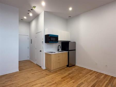 1 CH - 1 SDB - Montréal - $1,195 /mo