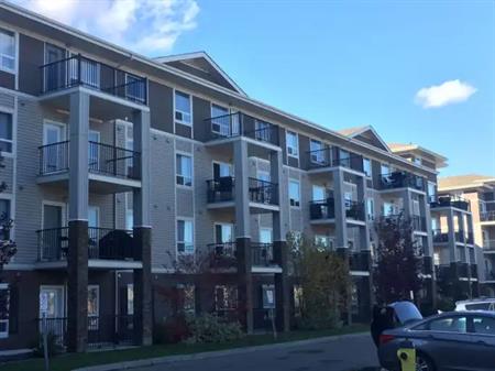1100 sq ft 2 Bedroom 2 Bath Condo | 6223 - 7331 South Terwillegar Dr NW, Edmonton