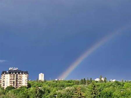 Lovely furnished 1-Bedroom Condo for University Year (Sept to April or May) | 717 Victoria Avenue, Saskatoon