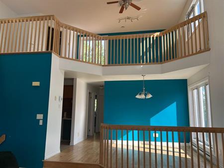 A Louer Condo Penthouse 5 1/2 Mezzanine Terrasse Duvernay Est