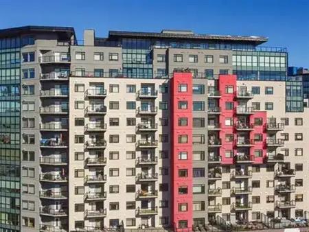 Apartment at the sixth floor in Signature Building Windermere for rent from Oct 1 | 5151 Windermere Boulevard South West, Edm