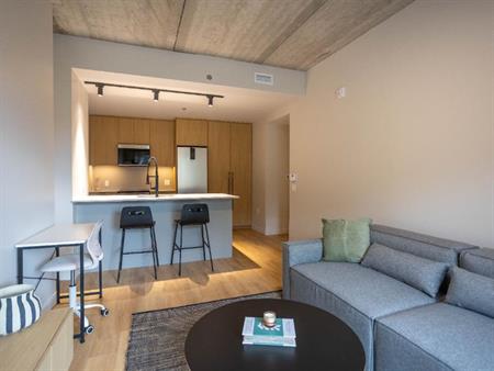 4 1/2 APPARTEMENT MEUBLÉ À LOUER
