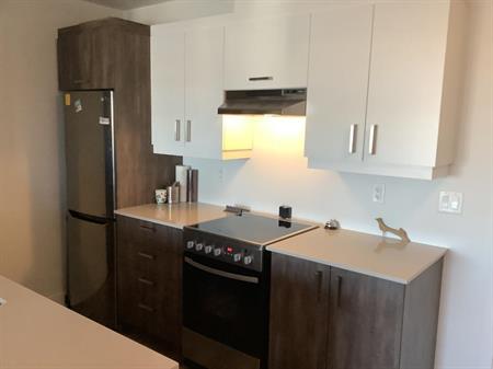 Appartement 3 1/2 + DEN St-Constant Electro et Garage INCLUS