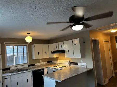 RENOVATED Bridgeland side-by-side full HALF DUPLEX | Calgary