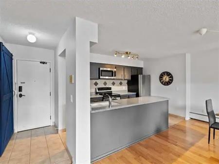 Furnished 3 Bed Eau Claire Condo with Gorgeous DWTN Views | 738 3 Ave SW, Calgary