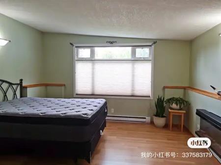 Cozy new renovated one bedroom on main floor with sunroom in Willow Park. | 351 Weddenburn Road Southeast, Calgary