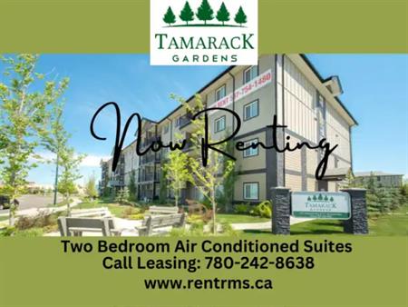 Tamarack Gardens | 707 Tamarack Way NW, Edmonton