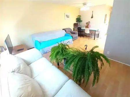 Room by U of C & Market Mall. NW Calgary | 5306 32 Avenue Northwest, Calgary