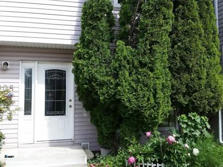 Newly renovated 4 bedroom  town house in marlborogh | Calgary