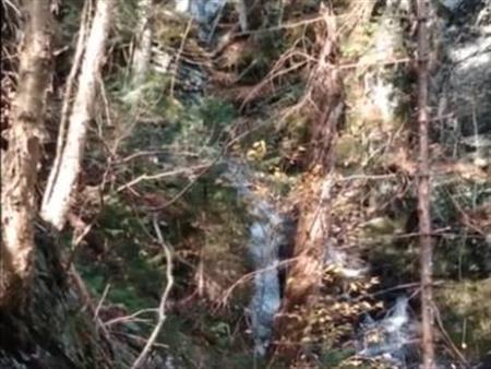 Terrain boisé avec chute d’eau – 185 265 pi² construisible en Estrie, idéal chalet ou AirBNB