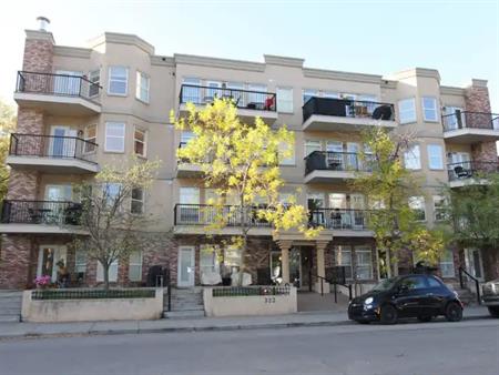 A south-facing, corner 1 bdrm condo in Mission | 407 - 323 18 Ave SW, Calgary