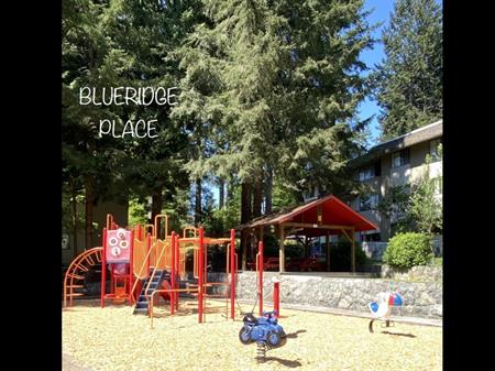 Blueridge Apartments