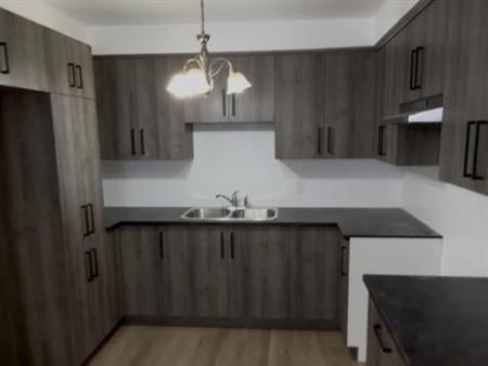 Logement grand 4 ½ rénové au 11550 Balzac Montréal Nord avec climatiseur!