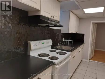 (LOWER LEVEL) - 21 BEVERLEY STREET | (LOWER LEVEL) - 21 BEVERLEY STREET, Waterloo