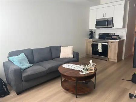 Kensington/Hillhurst/$1595/Walkout Basement | 1655 - 8 Ave NW, Calgary