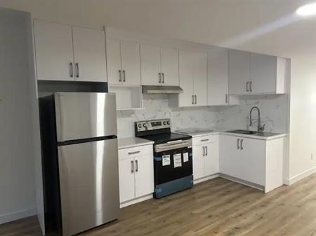 Brand New Basement Suite in Cozy and Central Ottewell | 7121 93 Avenue Northwest, Edmonton